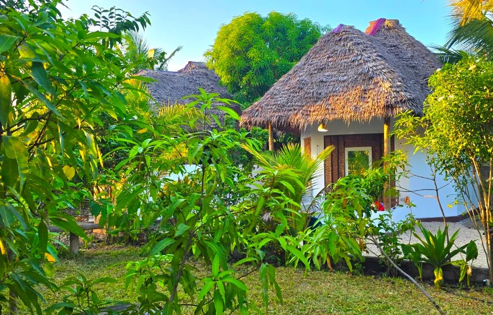 Flora Zanzibar - Blog Image