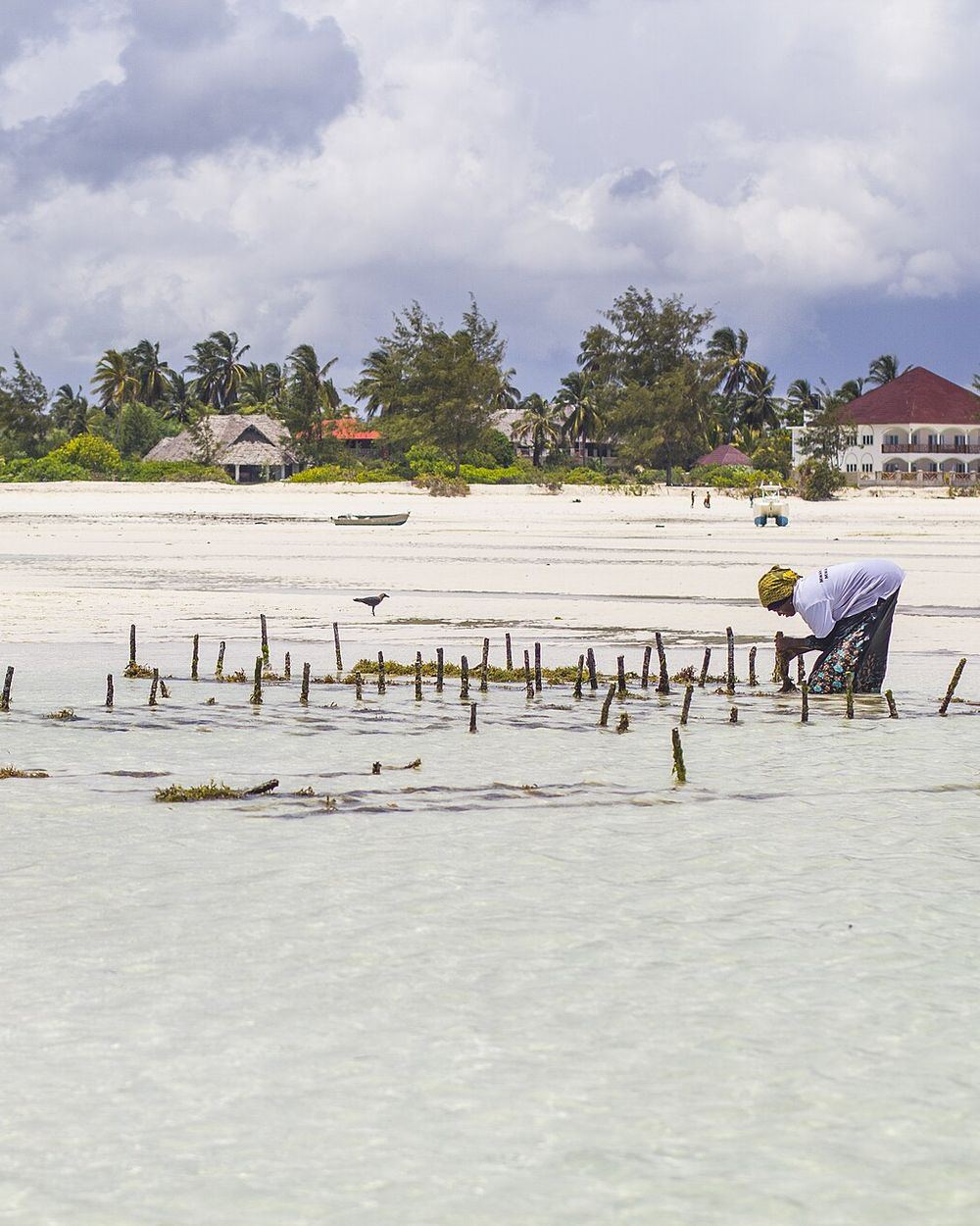 Women working on the beach in Zanzibar